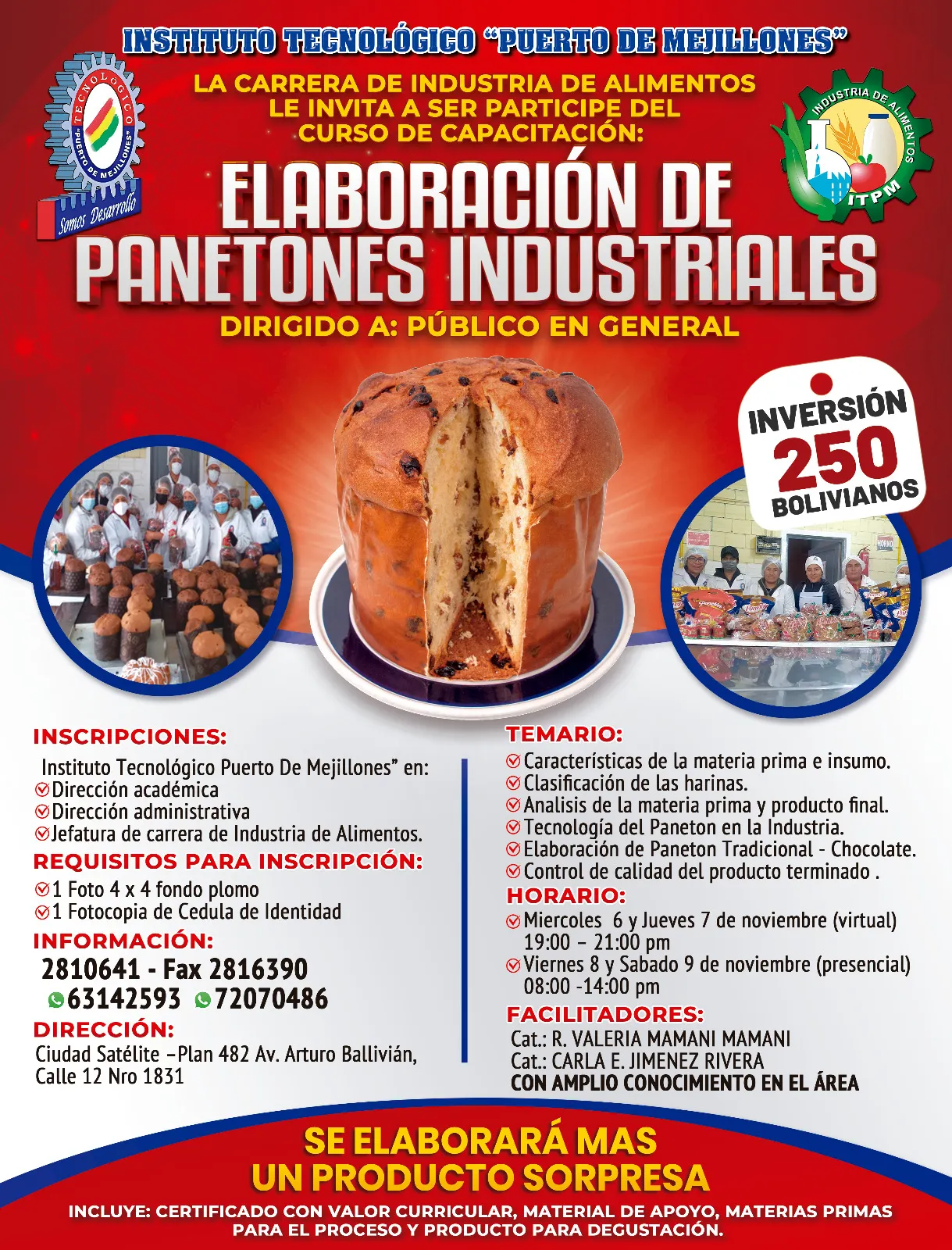 Curso de panetón industrial